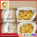 Healthy and Best Quality Dried Apple Ring